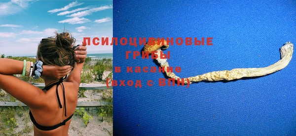 стафф Аркадак