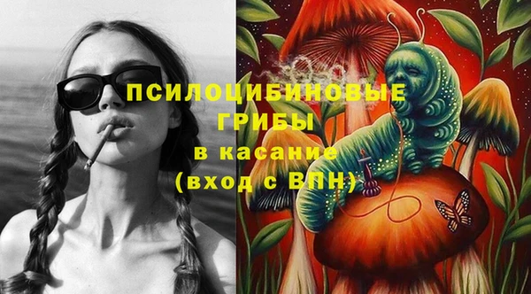 стафф Аркадак