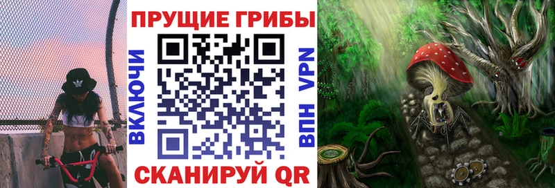 Псилоцибиновые грибы мухоморы ссылка на мегу ТОР мориарти клад Междуреченск